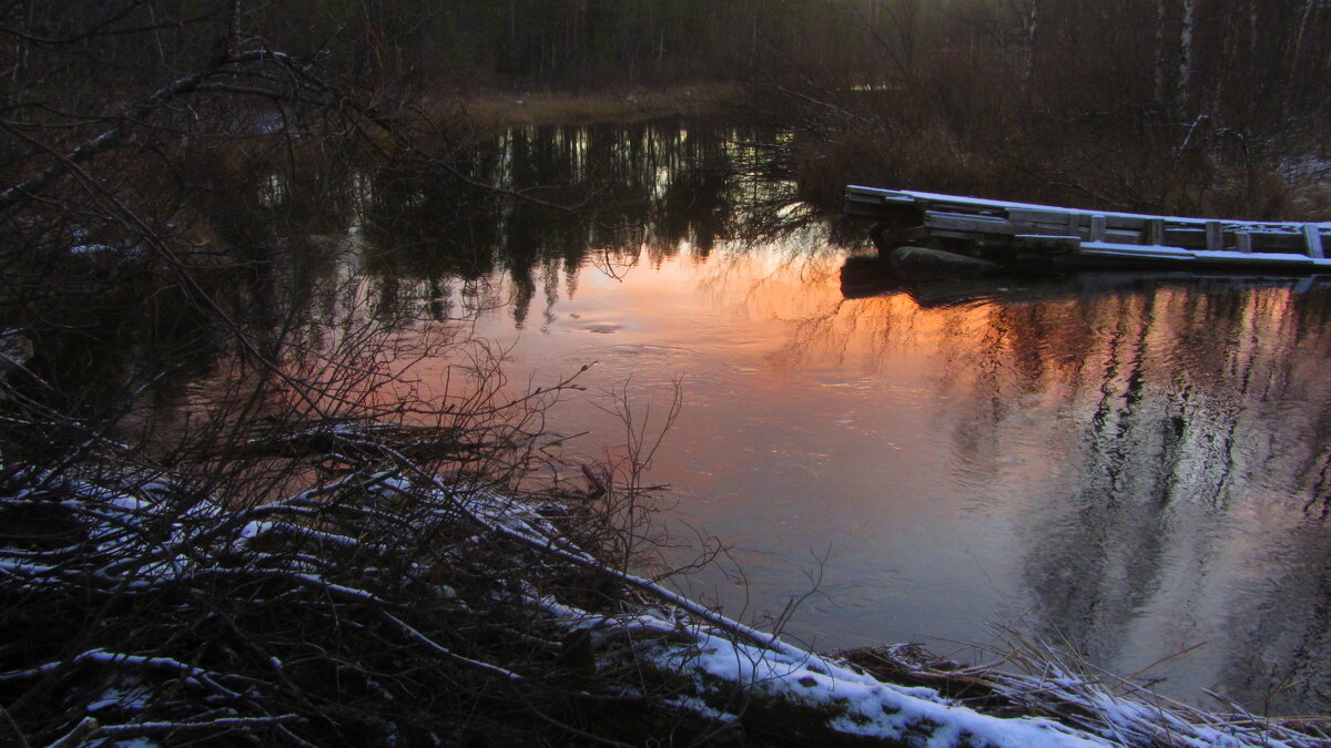 *** - Галина Полина