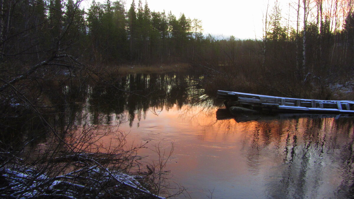 В речке розовая вода. - Галина Полина