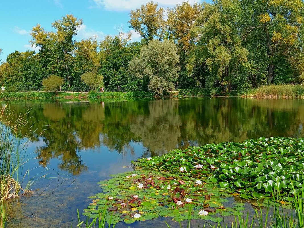 Ботанический сад в Самаре - Надежда Ботанический сад в Самаре - Надежда