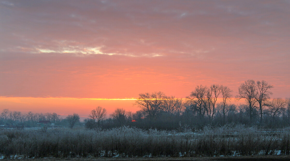 Морозное утро. - Александр 