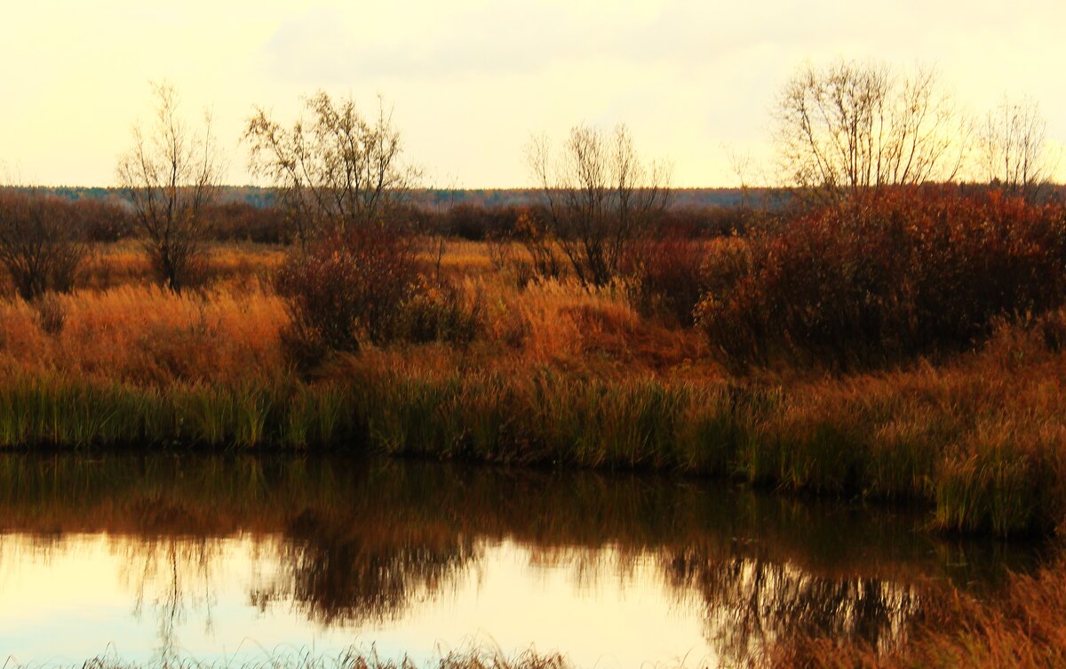 В темных тонах - Сергей Никифоров