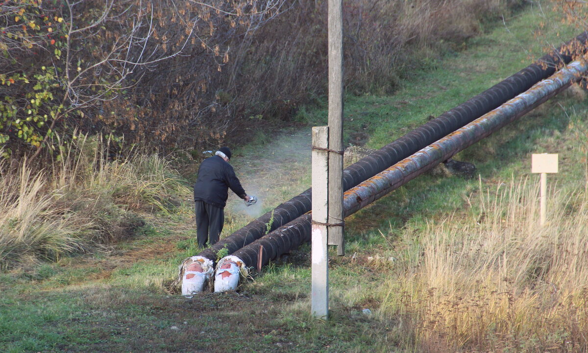 Два старика - Елена Минина