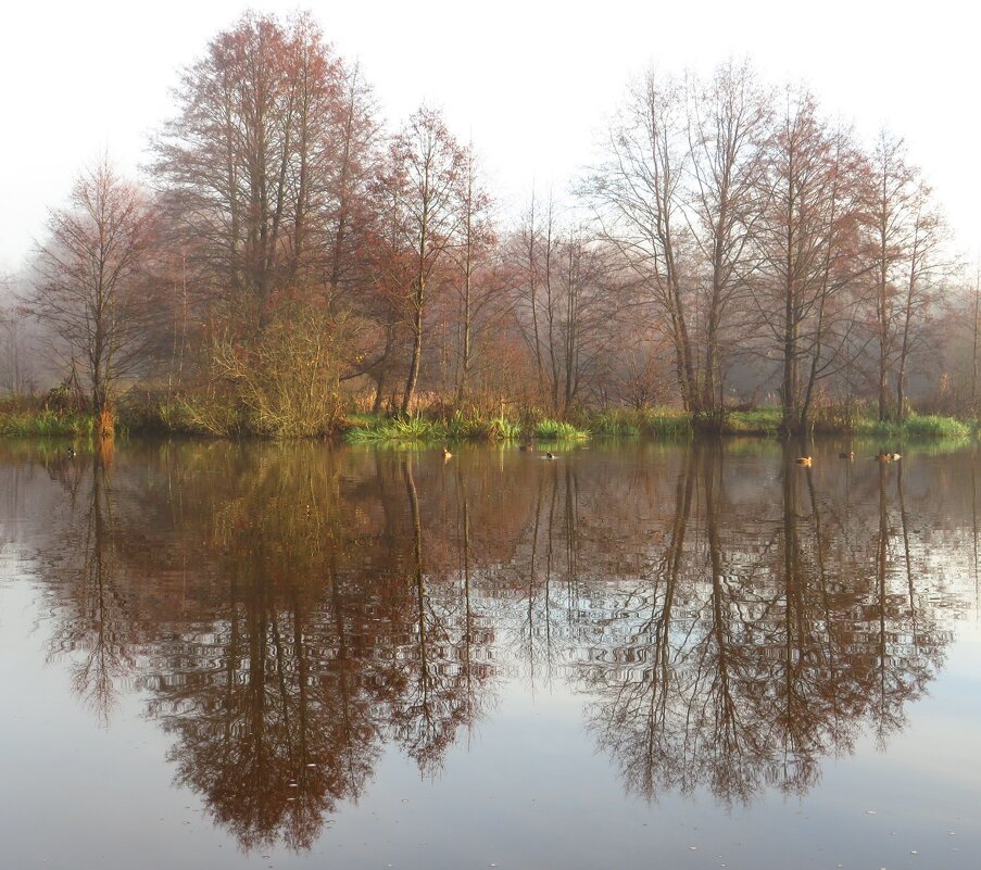 Отражение осени - Андрей Снегерёв