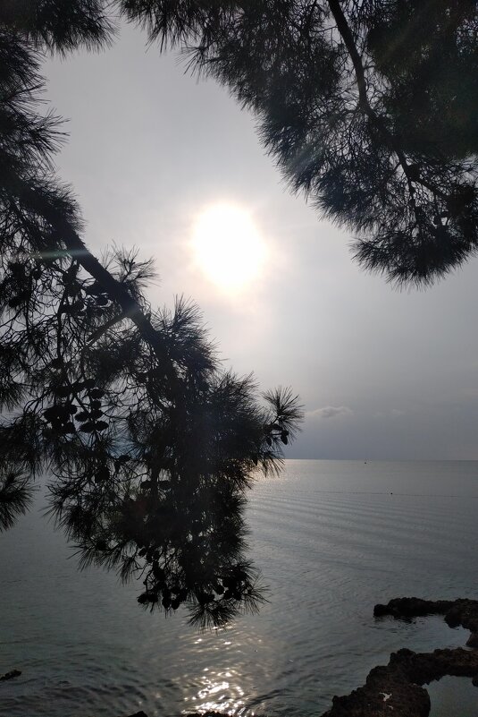 Какая мирная картина - Натали 