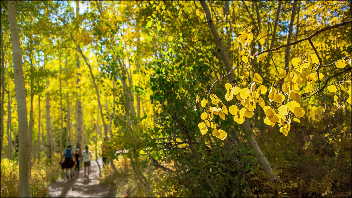 Осень - **** vedin