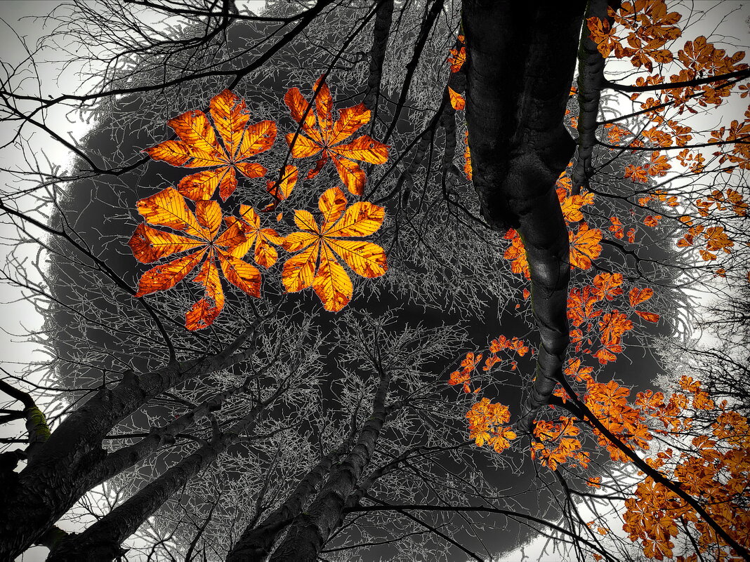 На мотив Константина Бальмонта - Victor Vinocurov На мотив Константина Бальмонта - Victor Vinocurov