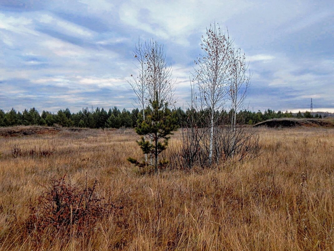 Хмурый ноябрь! - Елена Хайдукова  ( Elena Fly )