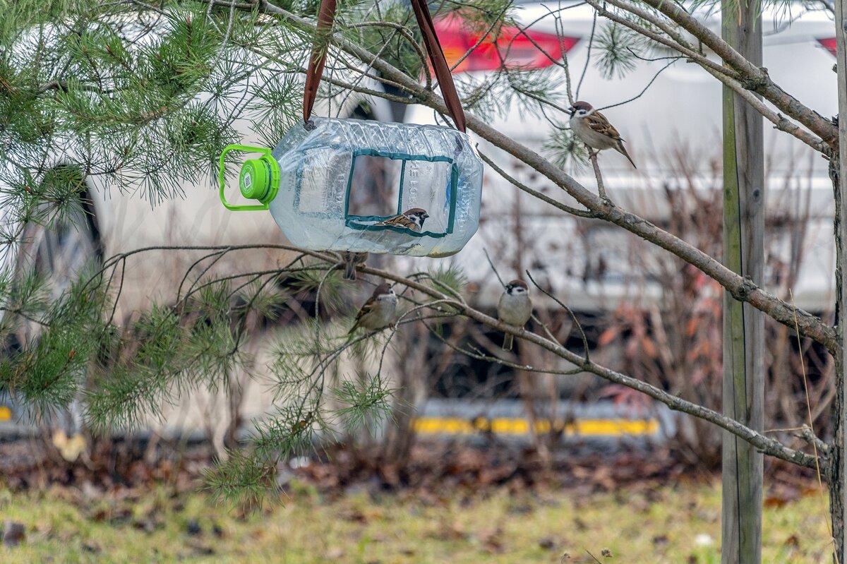 Очередь - Валерий Иванович