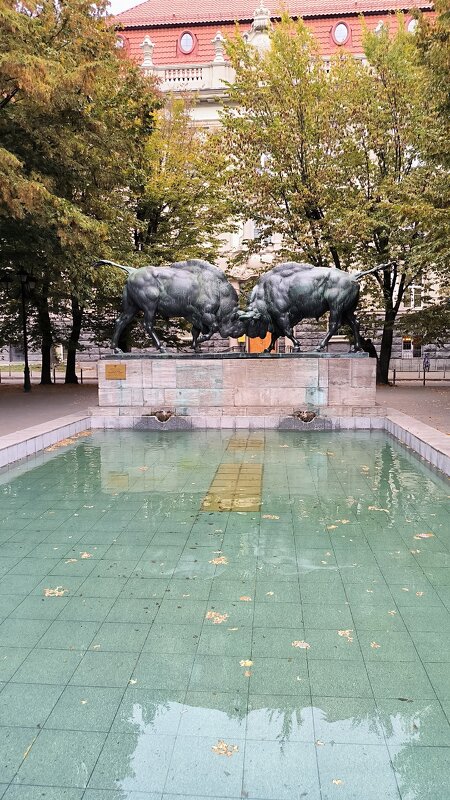 Калининград. Борющиеся зубры. - Ольга Калининград. Борющиеся зубры. - Ольга