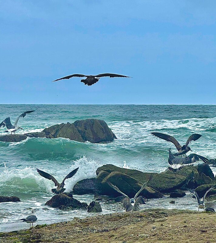 Море - Елена Семигина Море - Елена Семигина