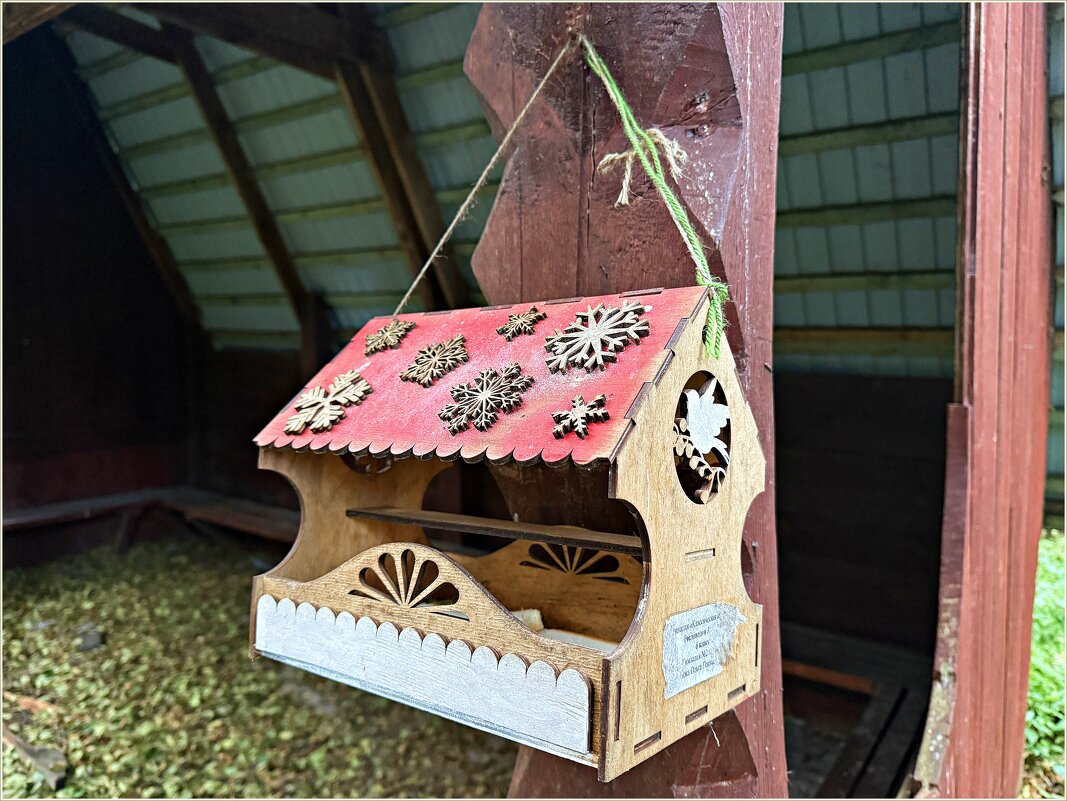 Прогулка по Куршской косе. - Валерия Комова