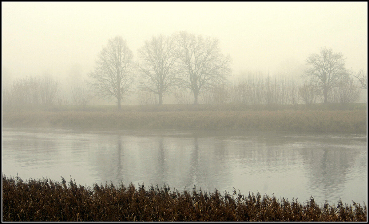 *** - Aleksandr Gal *** - Aleksandr Gal