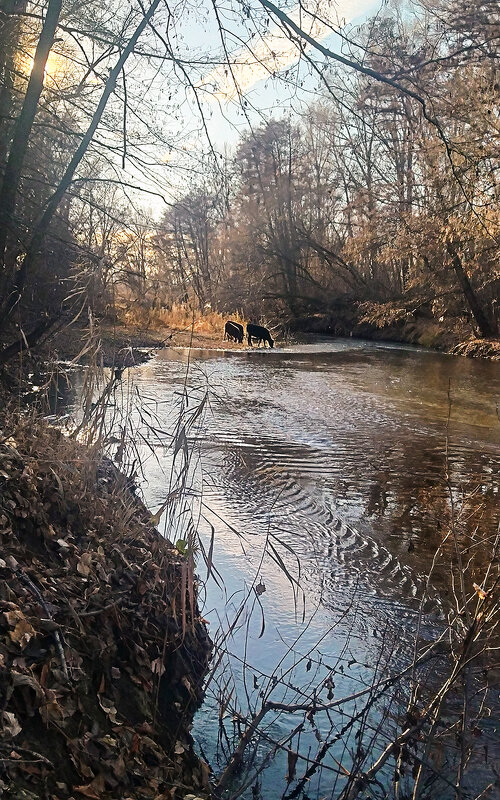 Поздняя осень - Александр Никишков