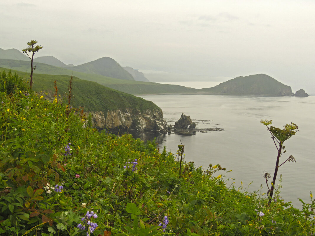 Туман на мысе Кузнецова. - ИРЭН@ .
