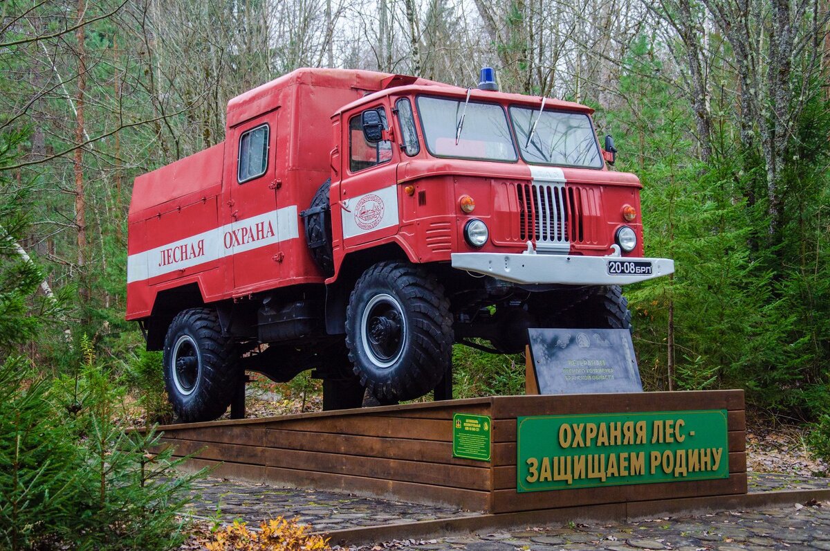 _______ - Галина Ложечникова