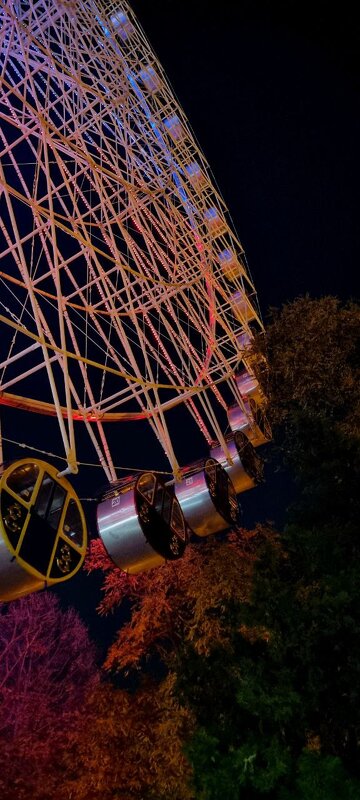 Чёртов колесо - Екатерина Леш