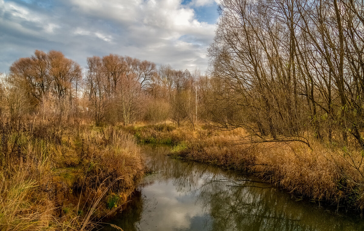 Осень не сдаётся 13 - Андрей Дворников