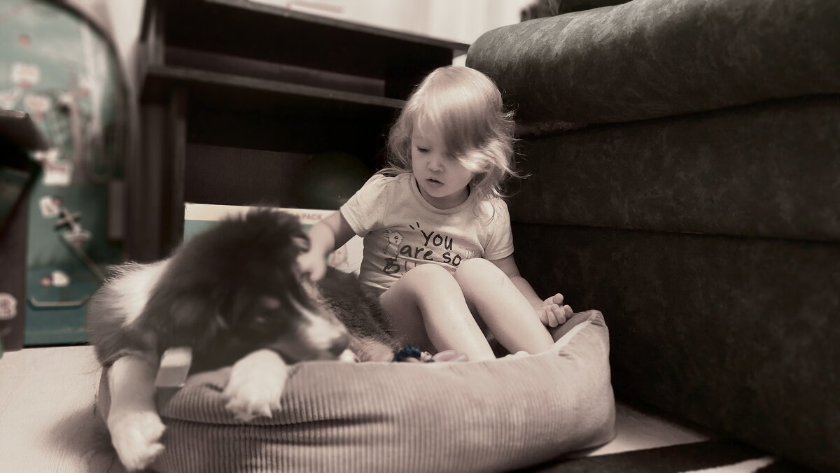 1+1=банда - Артём 