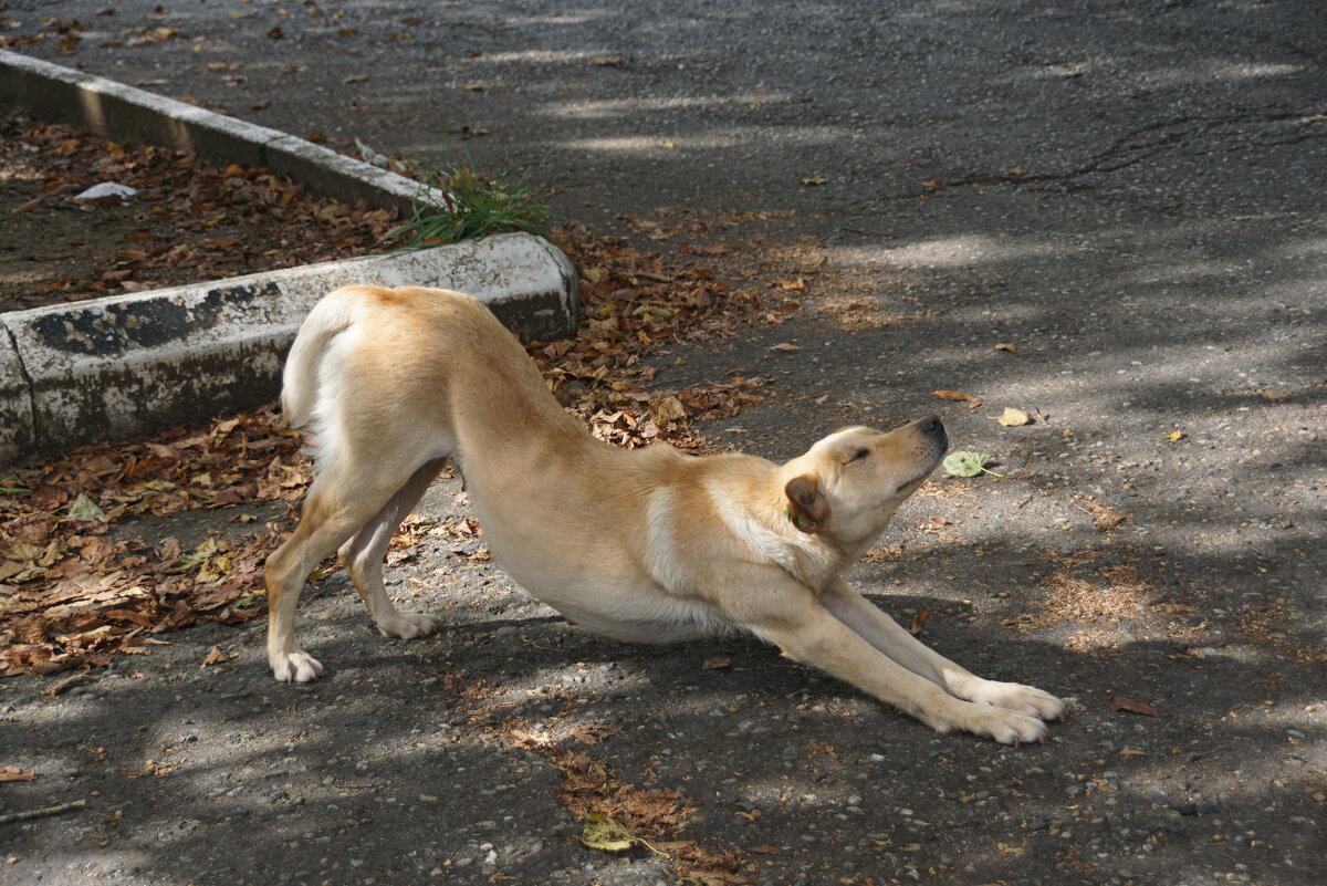 "Вот я какая!" - Наталия Григорьева