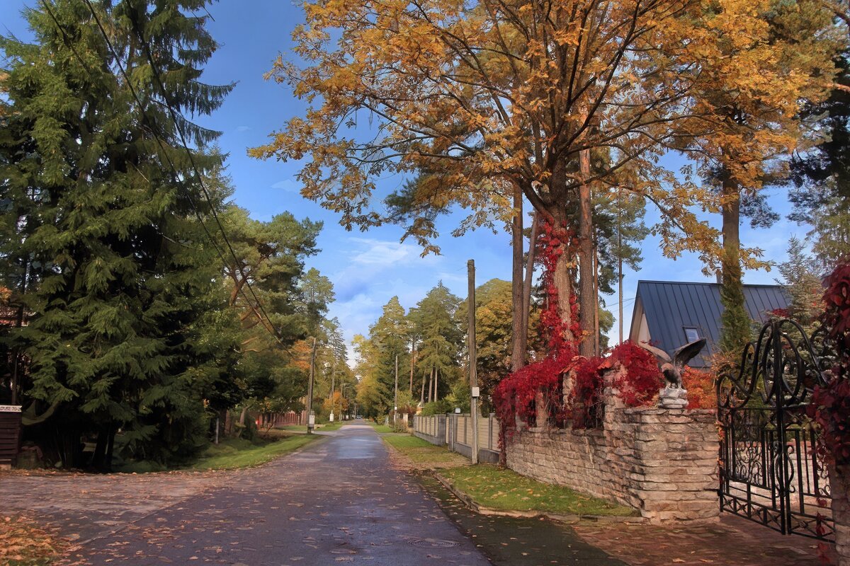 Улочка курортного городка Усть-Нарвы - Marina Pavlova