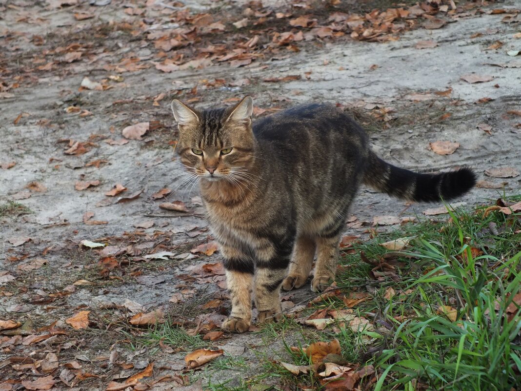 ** - Зоя Мишина