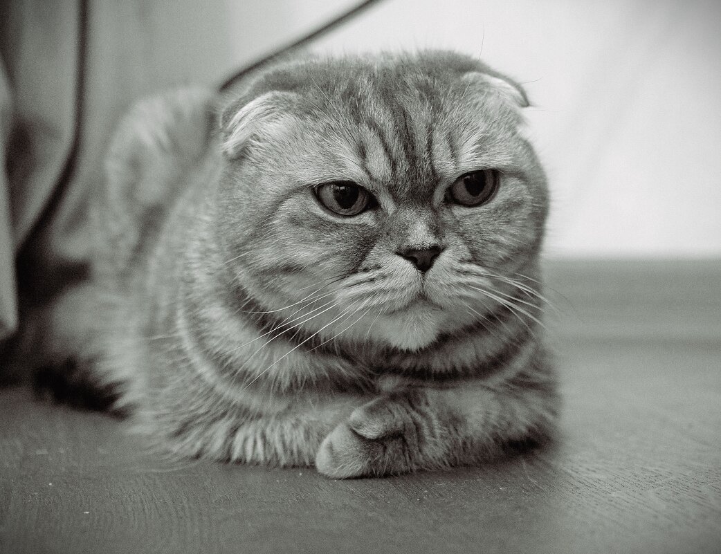 Внимание! Не отвлекайся. - Магомед .