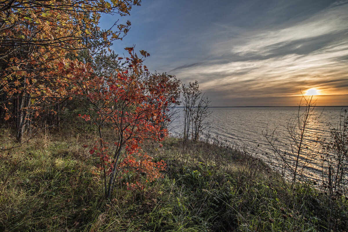 Осенний. - Александр Иванович Шитов