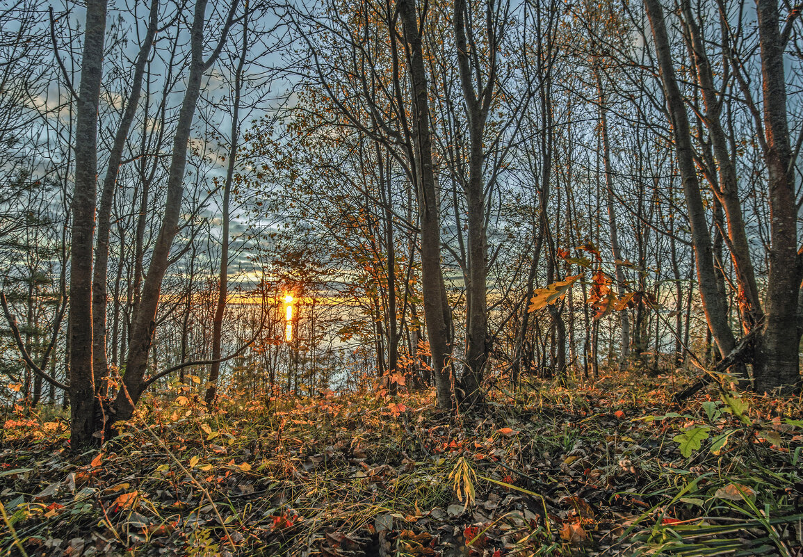 Осенний берег . - Александр Иванович Шитов