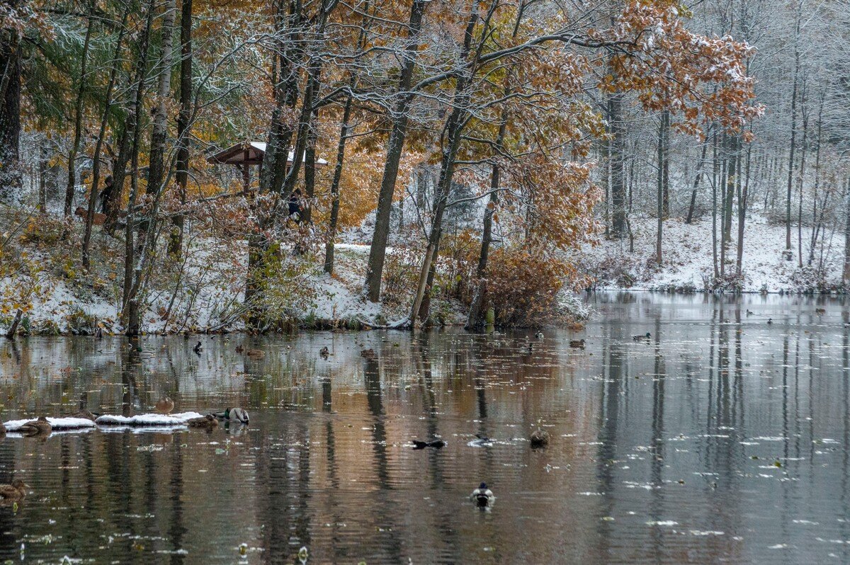 Припорошило........... - Юрий Цыплятников