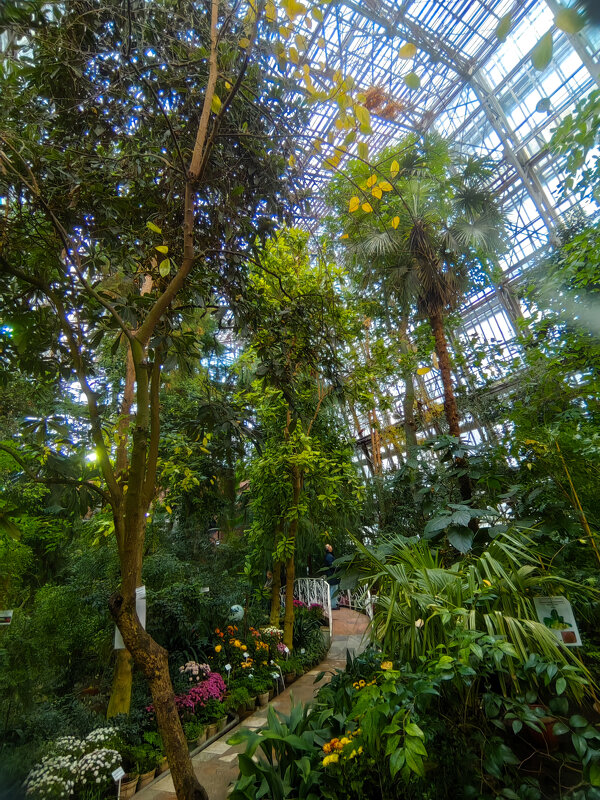 "Большая" теплица - Grishkov S.M.