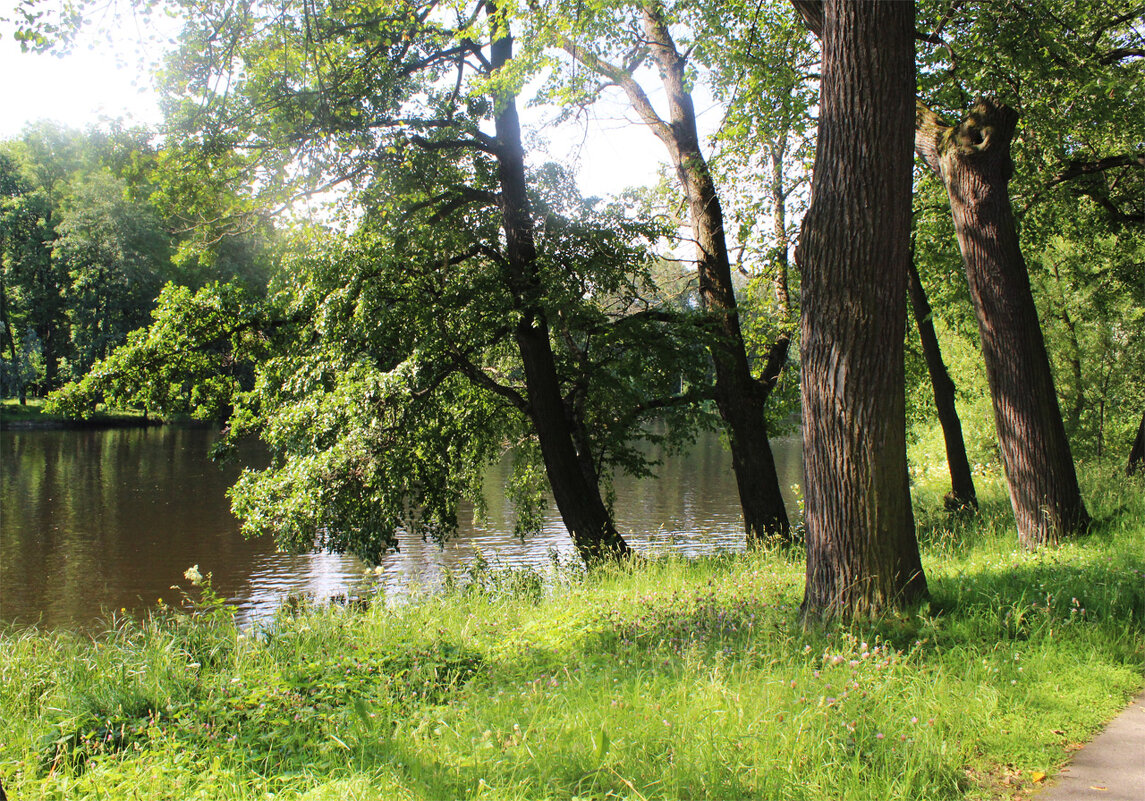 Парк. Елагин остров. - Любовь ***