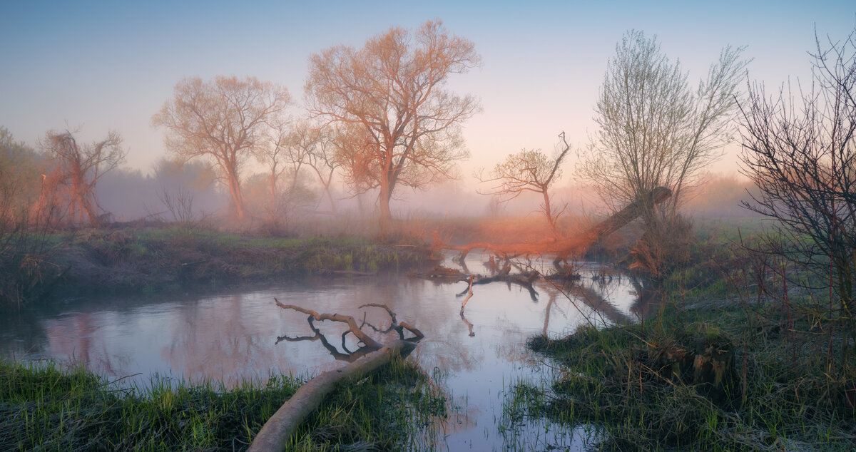 Заводёнка ... - Roman Lunin