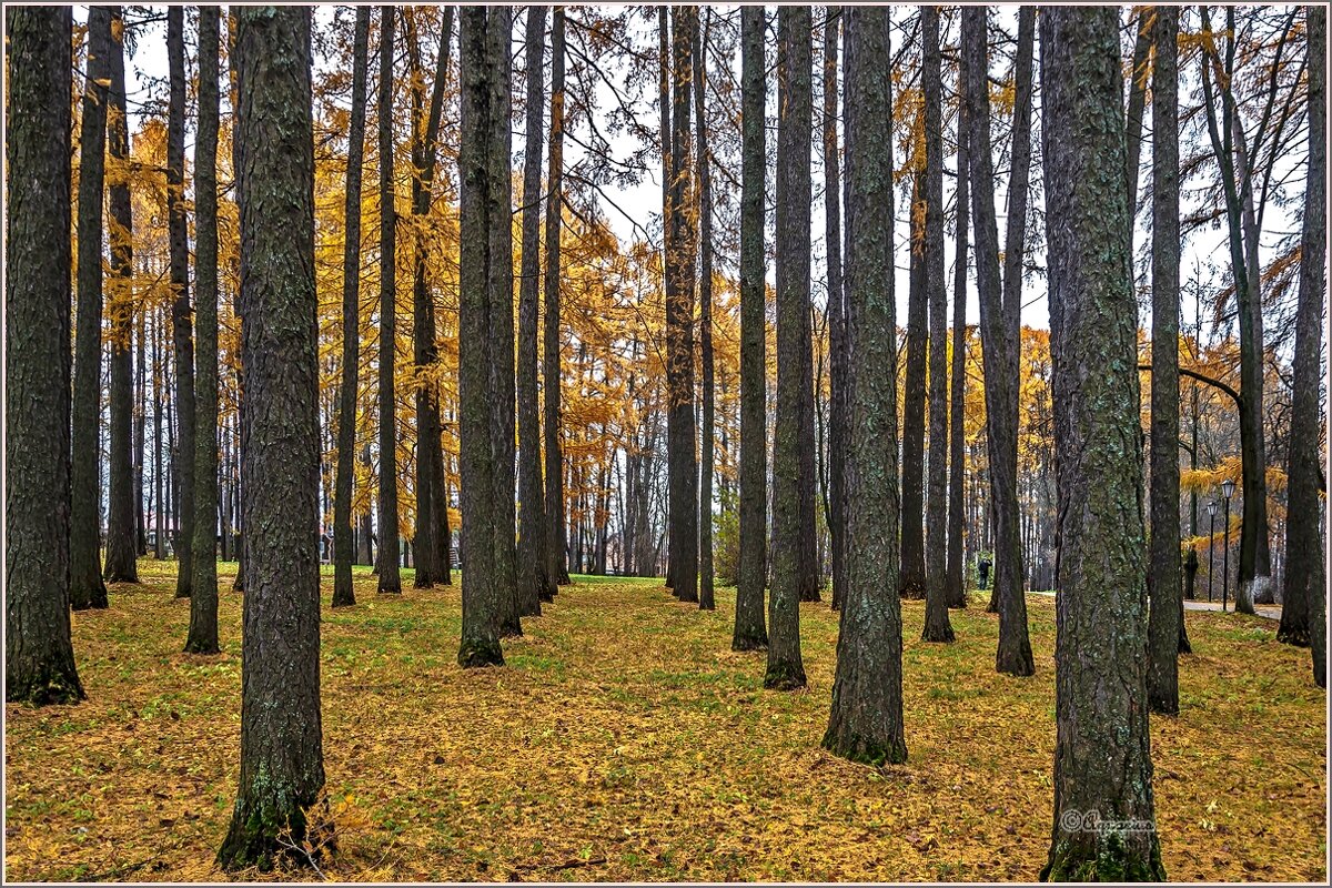 Октябрь . - Aquarius - Сергей