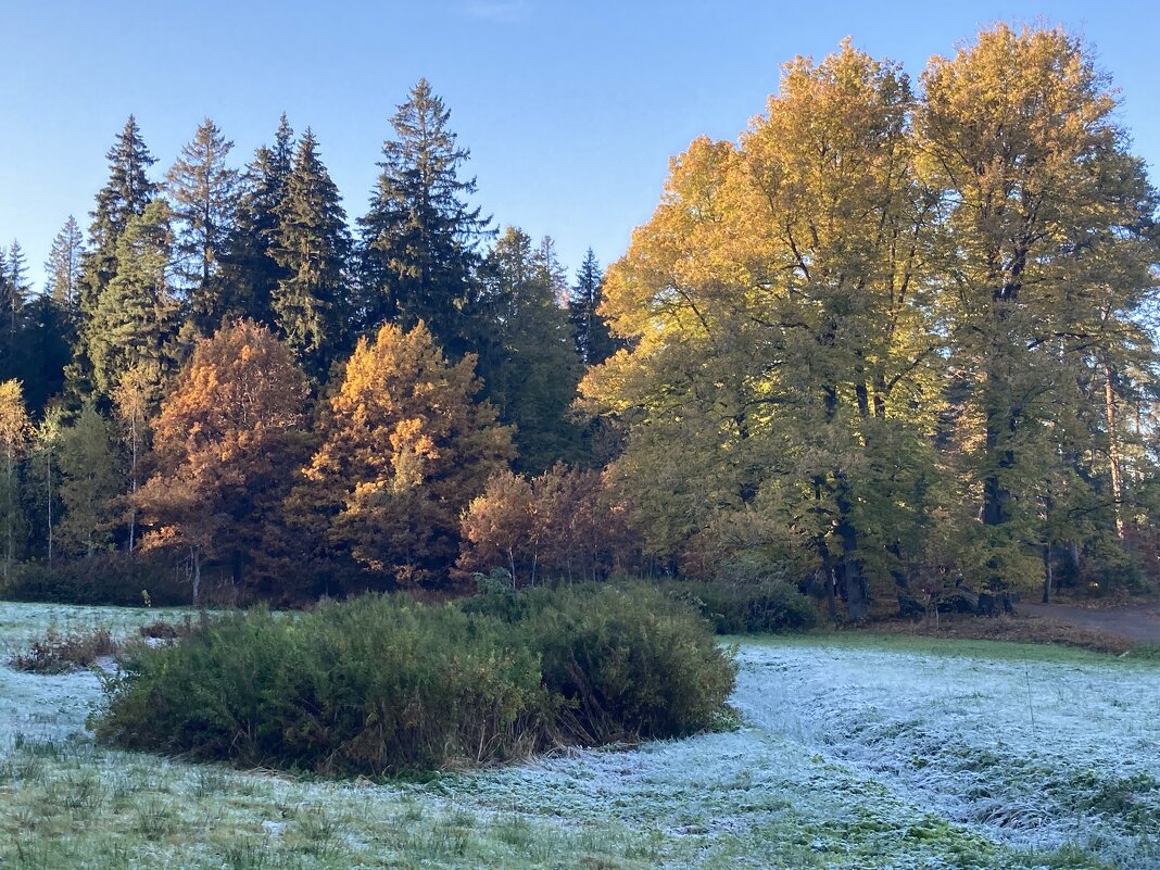 В парке - Ольга Савельева 