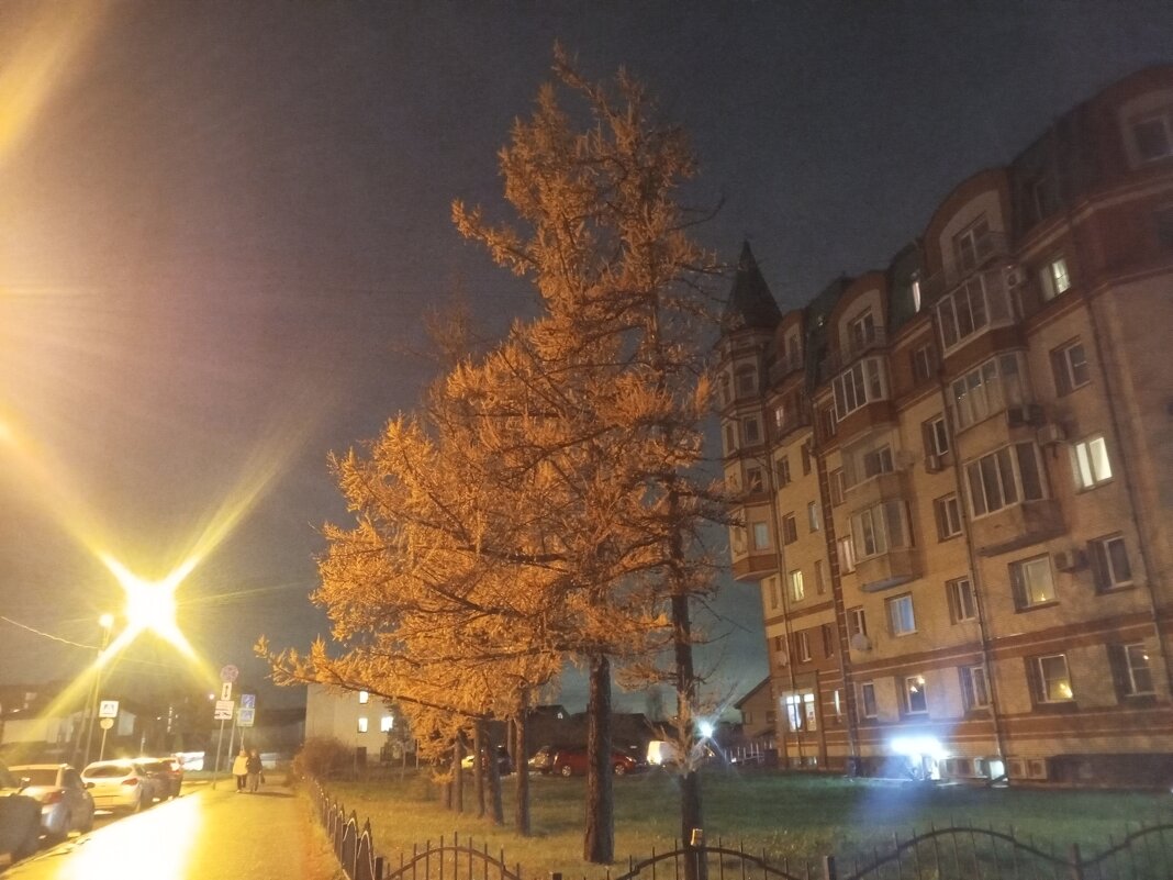 Осень - Сапсан 