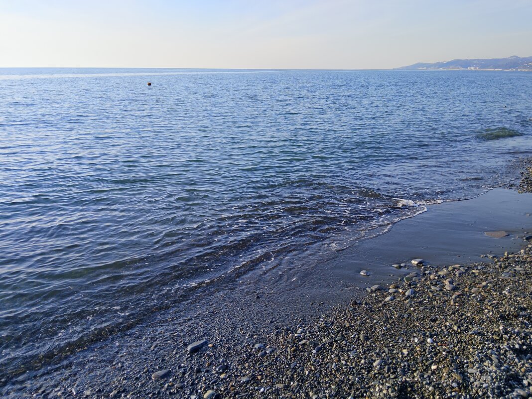 РИВЬЕРА - Tata Wolf