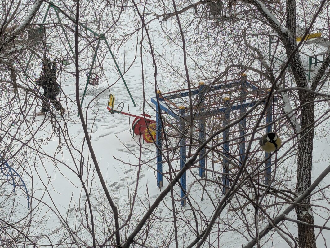 Ноябрь - Андрей Хлопонин