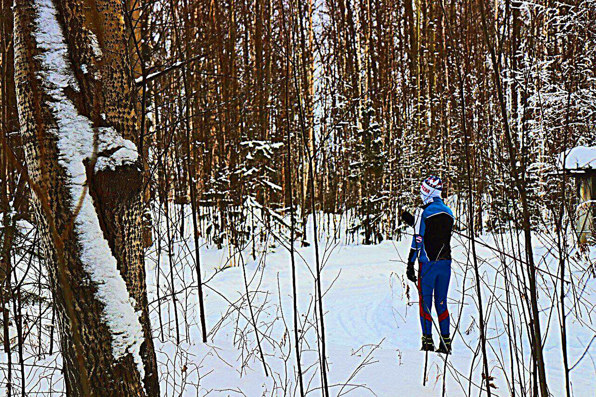 Декабрь...В тайге заснеженной! - Владимир 