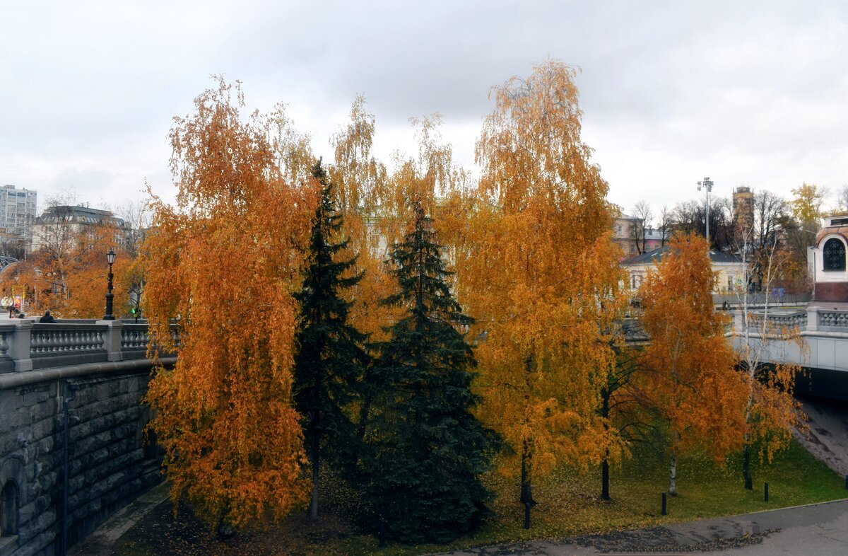 Гуляет Осень по Москве. - Татьяна Помогалова