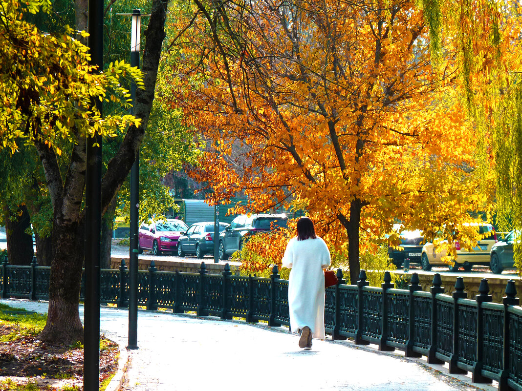 Осень золотая - Валентин Семчишин