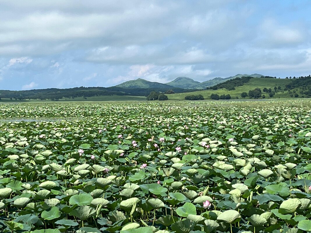 Природа Владивостока - Елена Семигина