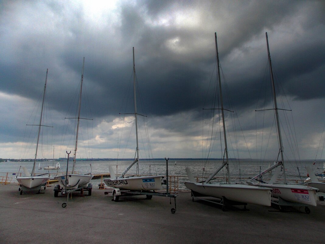 В порту - Оксана Новик 