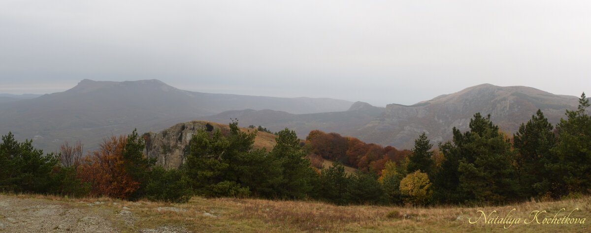 Природа Крыма - Amazing Cosmea Природа Крыма - Amazing Cosmea