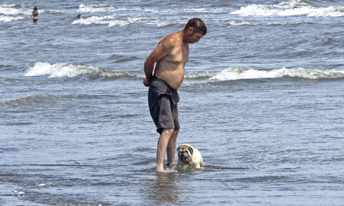 хозяин, пойдем, нет тут крабов... - ИРЭН@ .