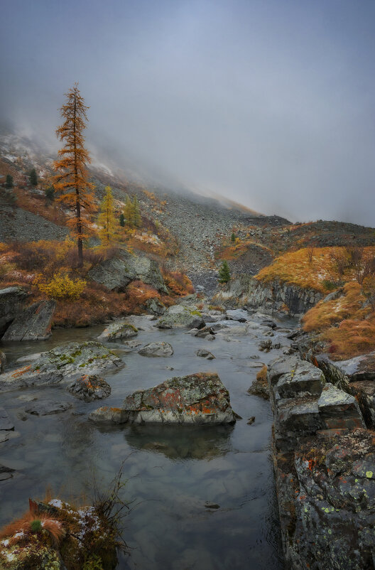 * - Александр Иванов
