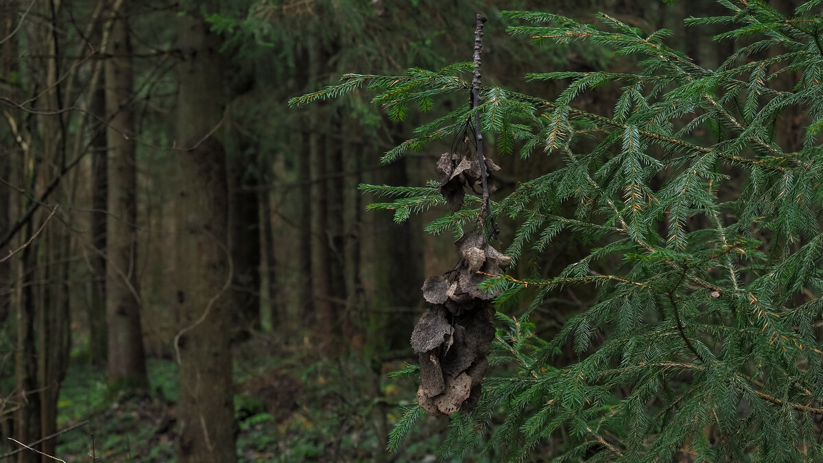 Украшение Для Ёлки - юрий поляков