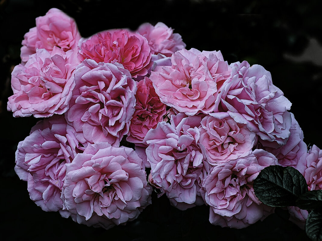 *** - Александр 