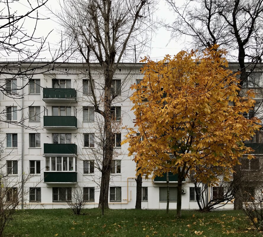 Последнее золото ноября - Любовь 