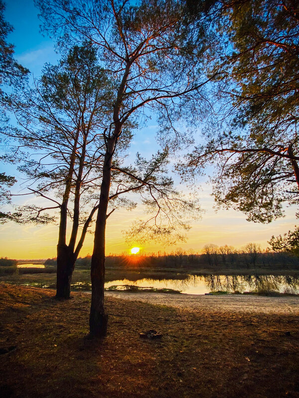 *** - Игорь Чичиль