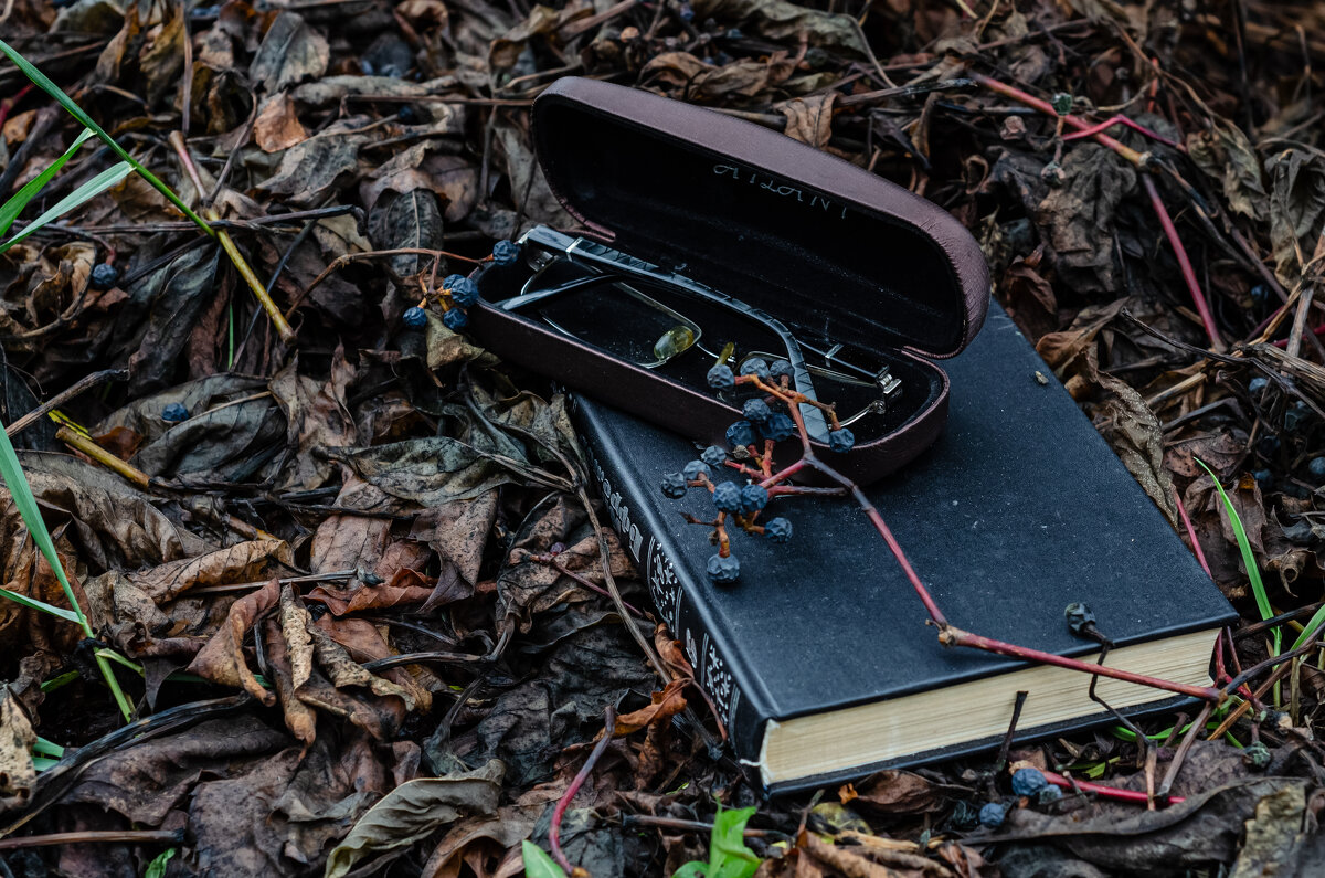 Безмолвие - Андрей Щетинин Безмолвие - Андрей Щетинин